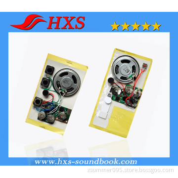 Factory Supplied Recordable Electronic Greeting Card Sound Chip
